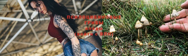 твердый Кукмор