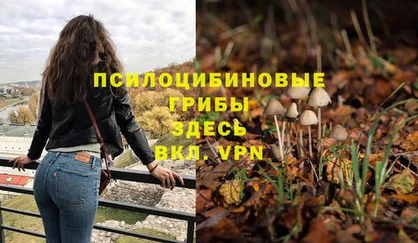 Альфа ПВП Куйбышев