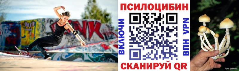 Галлюциногенные грибы Psilocybe  Лакинск 